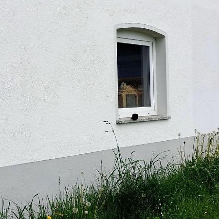 Urlaub Auf Dem Hirschhof Stehle Daire Waldburg Dış mekan fotoğraf